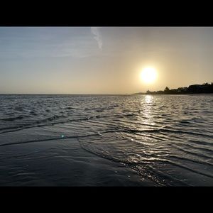 Meet your Posher, Jackson